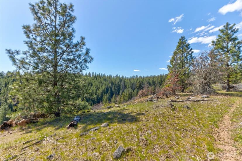 Property photo for 10 Piper Lane, Goldendale photo 17