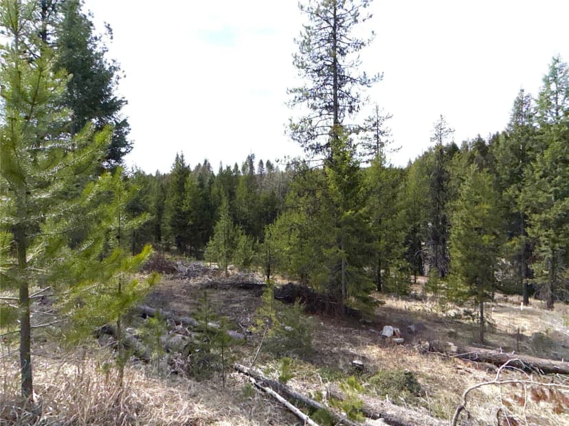 Property photo for 37 Gardner Creek Road, Republic photo 17