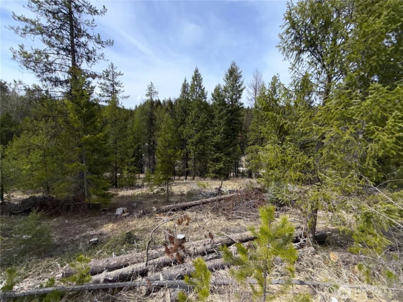 Property photo for 37 Gardner Creek Road, Republic photo 18