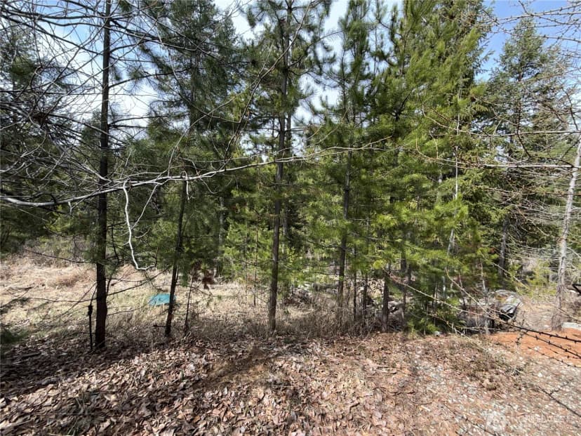 Property photo for 37 Gardner Creek Road, Republic photo 19