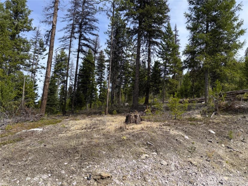 Property photo for 37 Gardner Creek Road, Republic photo 21