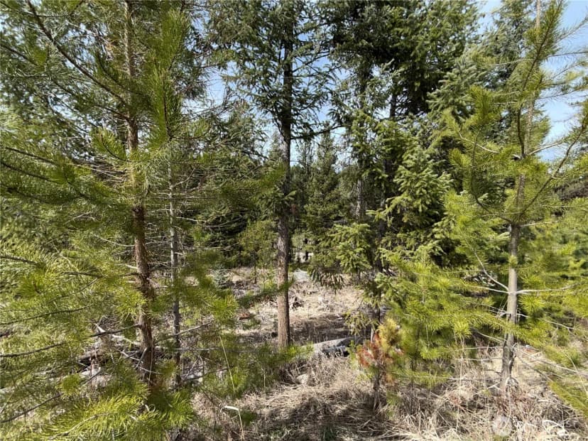 Property photo for 37 Gardner Creek Road, Republic photo 22