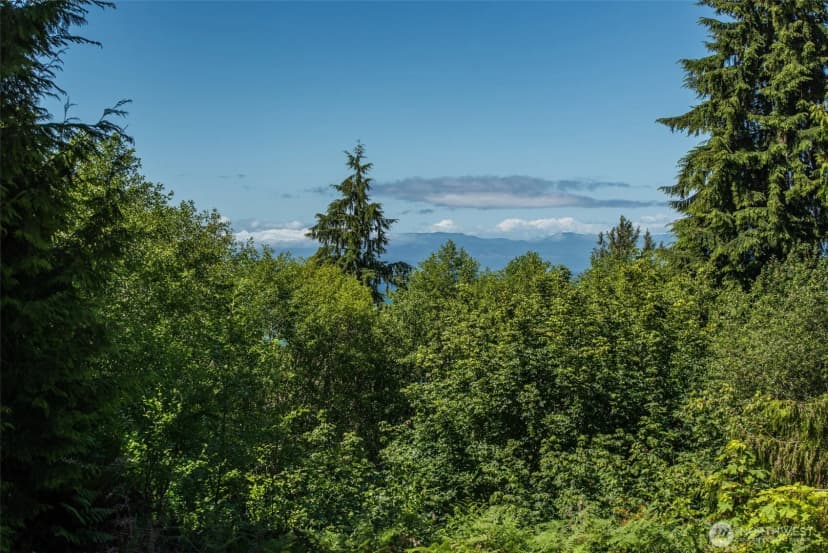 Property photo for 43 Mowitch Trail, Port Angeles photo 27