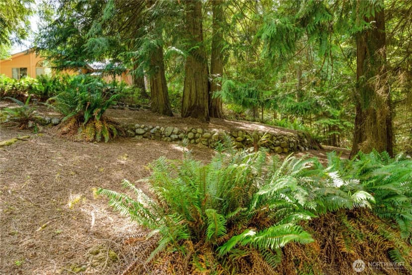 Property photo for 76 Fawn Haven Road, Port Angeles photo 38