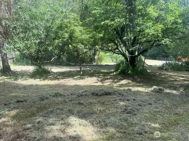 Property photo for 10395 Ne Pine Way, Bainbridge Island photo 9