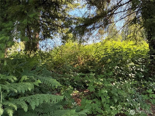Property photo for 2229 97th Street Se, Lake Stevens photo 3