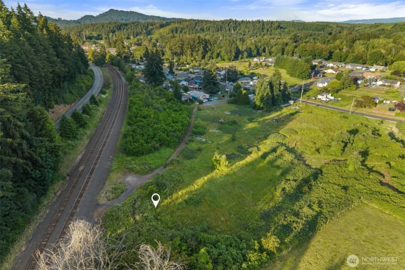 Property photo for 0 64143301300 Lot, Bucoda photo 8