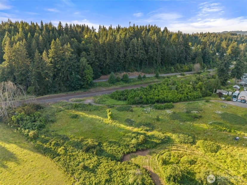 Property photo for 0 64143301300 Lot, Bucoda photo 11