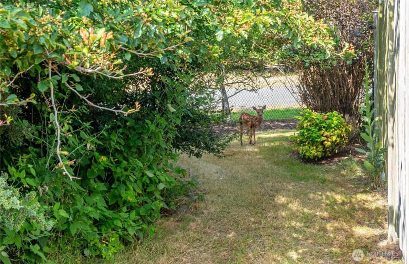 Property photo for 697 Olympic View Drive, Coupeville photo 36
