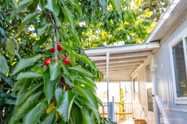 Property photo for 700 Nw Crosby Avenue #74, Oak Harbor photo 5