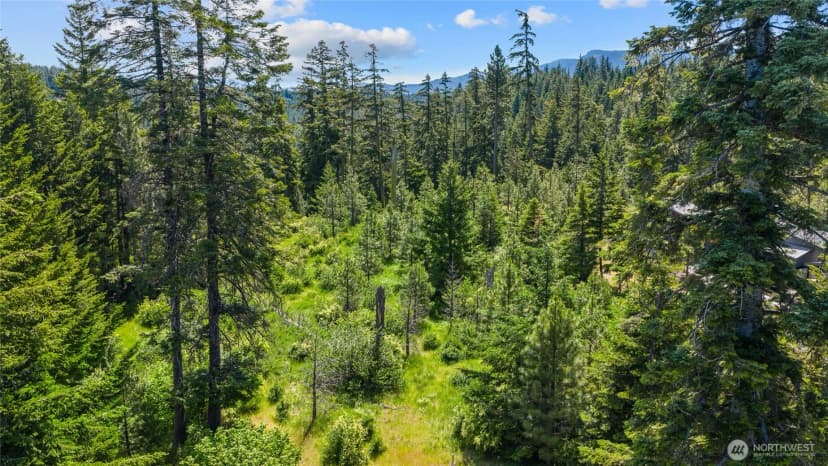 Property photo for 261 Morning Star Lane, Cle Elum photo 13