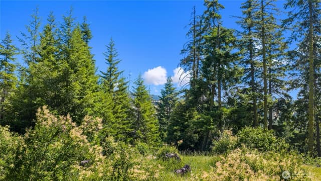 Property photo for 261 Morning Star Lane, Cle Elum photo 4