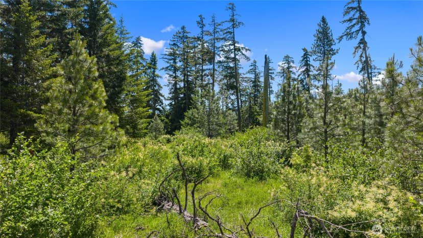Property photo for 261 Morning Star Lane, Cle Elum photo 8