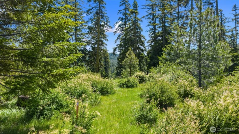 Property photo for 261 Morning Star Lane, Cle Elum photo 15