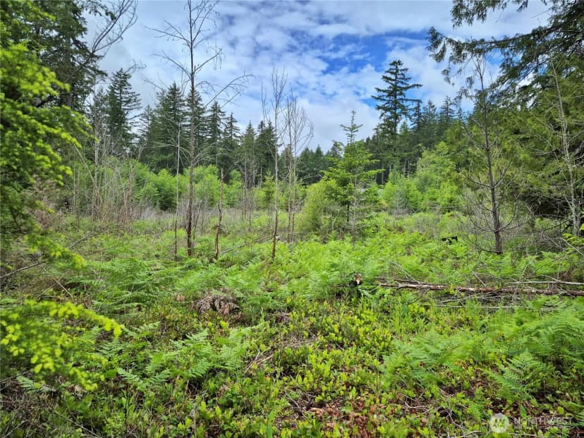 Property photo for 7 W Wilderness Lane, Seabeck