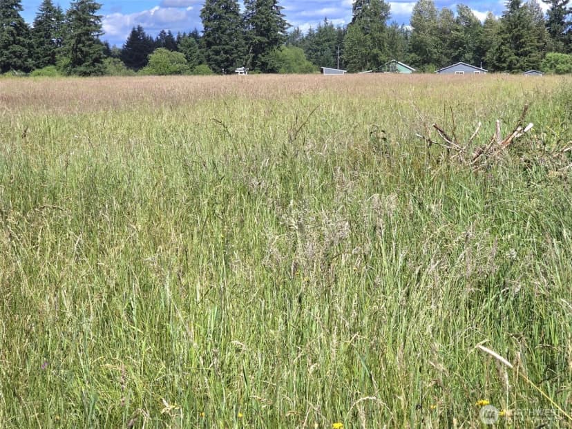 Property photo for 11916 Fillman Road Se, Rainier photo 33