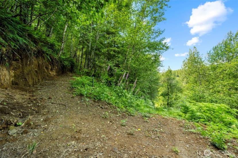 Property photo for 19005 Ne Buncombe Hollow Road, Woodland photo 31