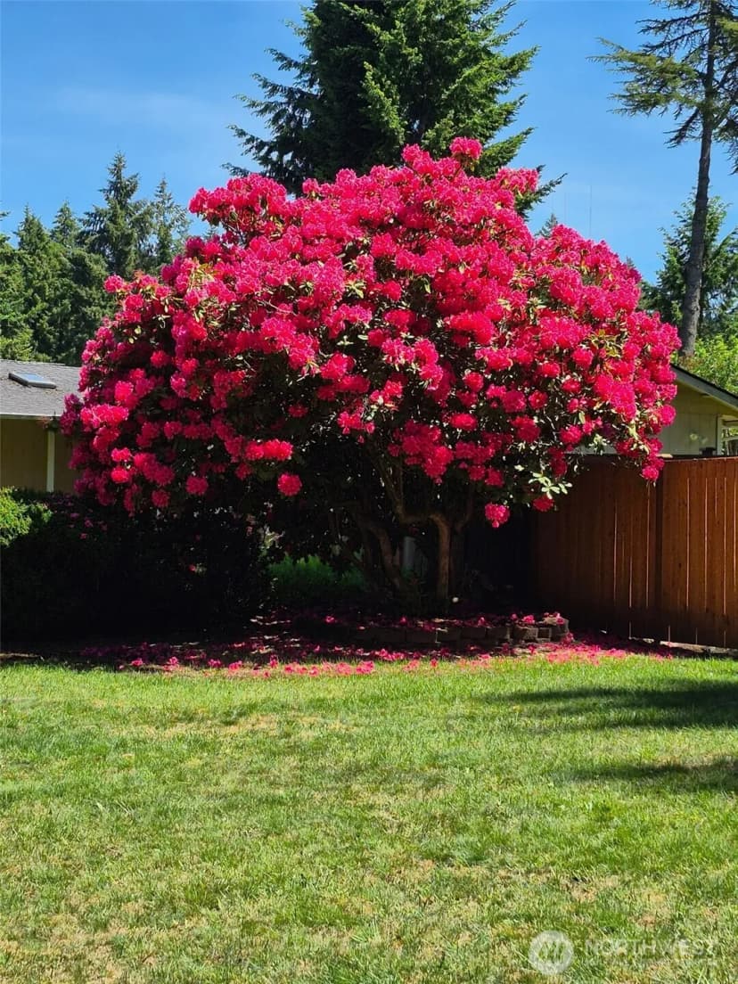 Property photo for 5708 78th Street E, Puyallup photo 37