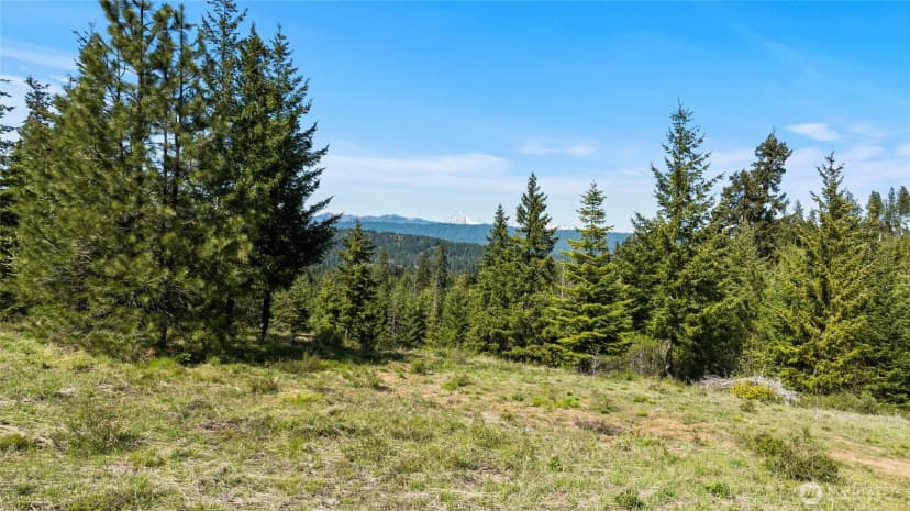 Property photo for 0 Xxxx Stone Ridge Drive, Cle Elum photo 17