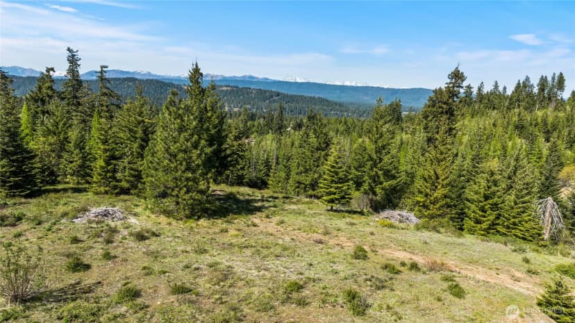 Property photo for 0 Xxxx Stone Ridge Drive, Cle Elum photo 8