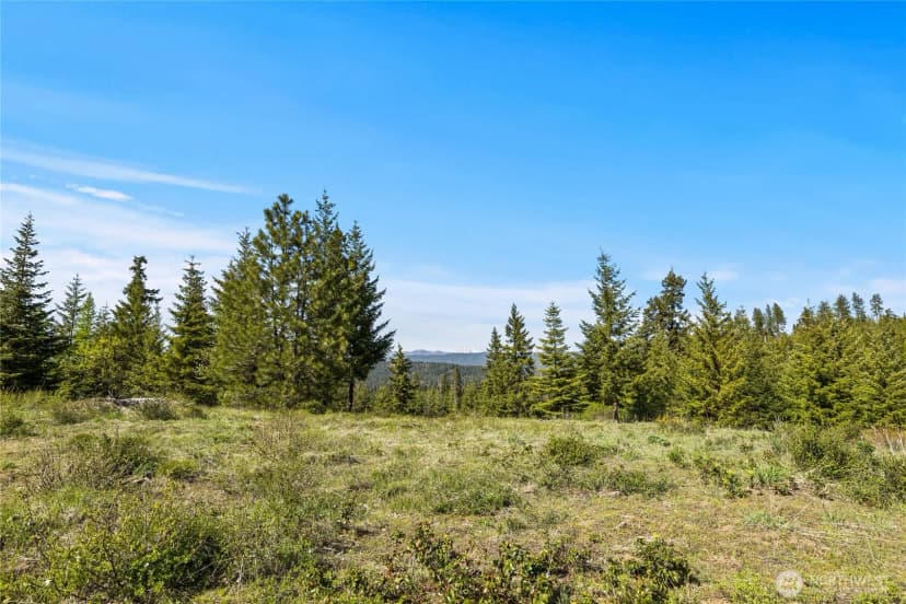 Property photo for 0 Xxxx Stone Ridge Drive, Cle Elum photo 10