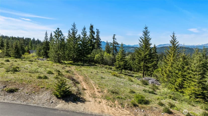 Property photo for 0 Xxxx Stone Ridge Drive, Cle Elum photo 15