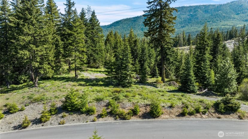 Property photo for 0 Xxxx Stone Ridge Drive, Cle Elum photo 13