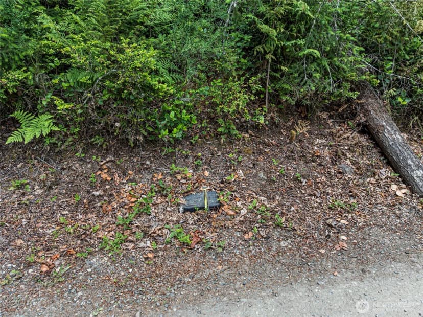 Property photo for 1 Andy Rogers Place Nw, Seabeck photo 6
