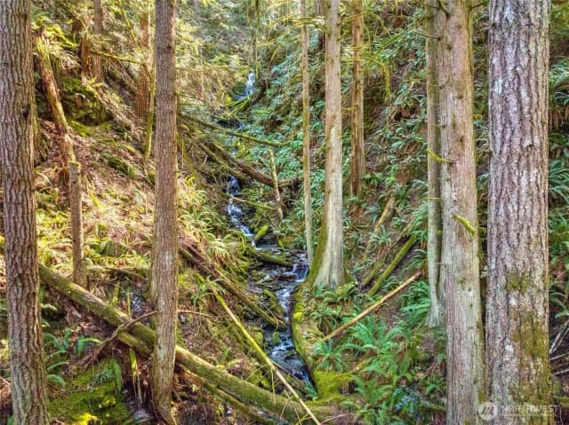 Property photo for 350 Cheetah Lane, Sedro Woolley photo 2
