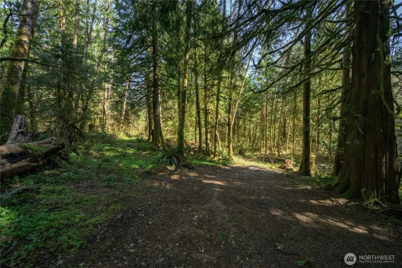 Property photo for 350 Cheetah Lane, Sedro Woolley photo 7