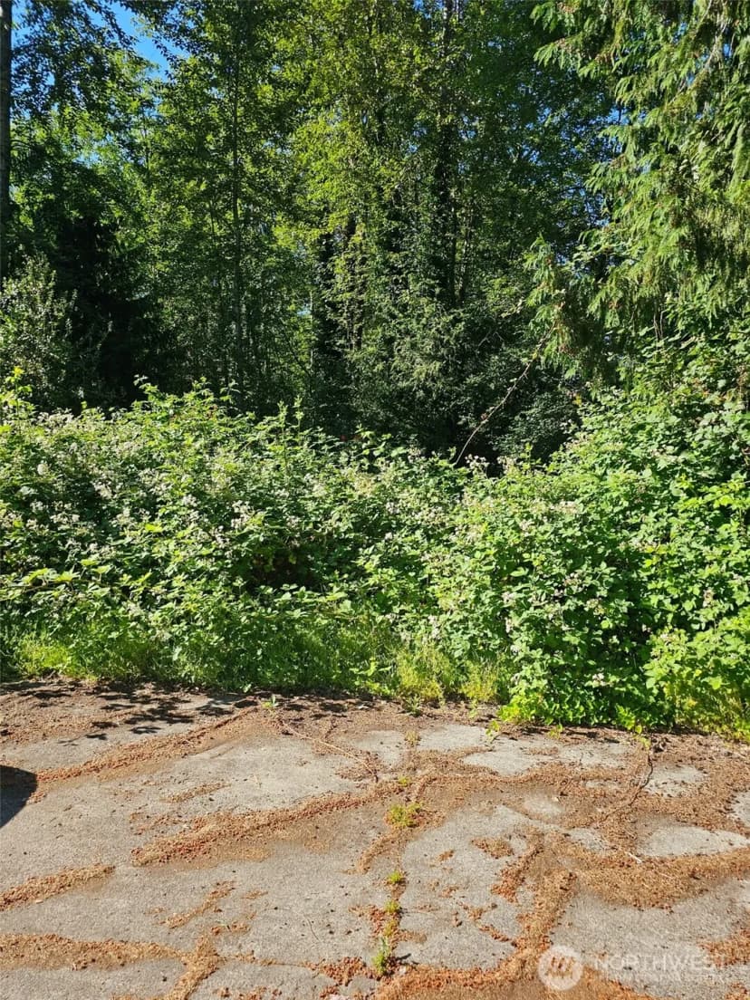 Property photo for 178 54th Place Sw, Lynnwood