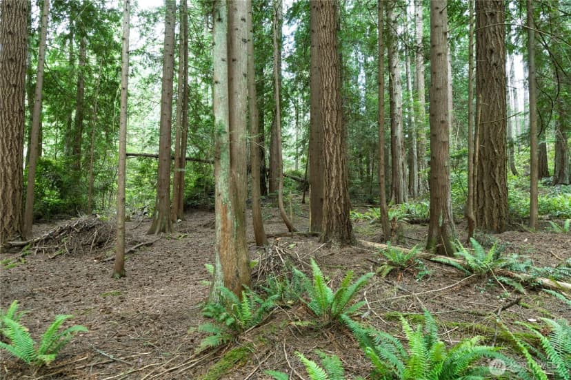 Property photo for 20853 Viking Avenue Nw, Poulsbo photo 22