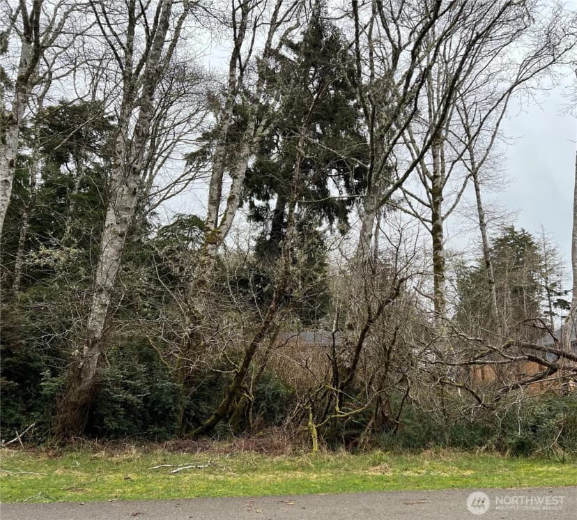 Property photo for 308 Lake View Loop Ne, Ocean Shores