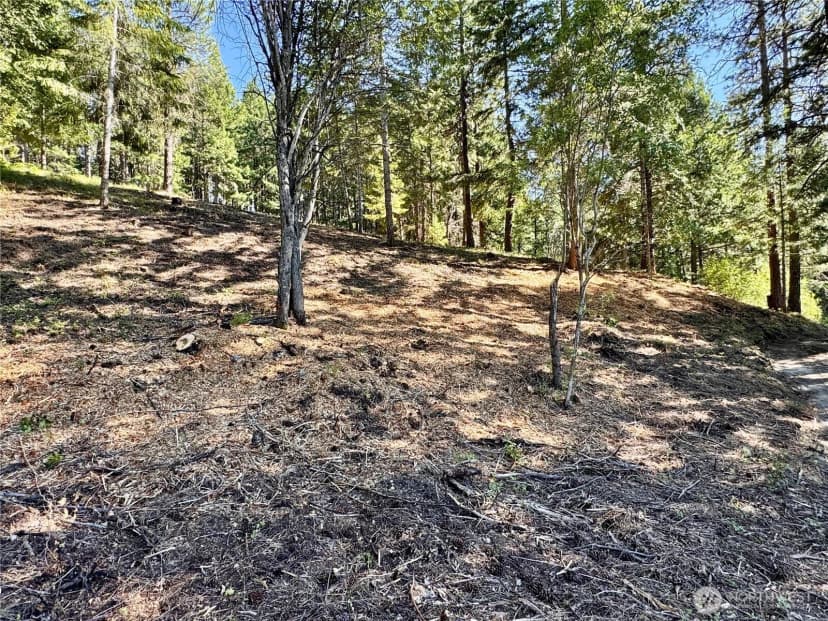 Property photo for 0 Ridgewater Drive, Cle Elum photo 19
