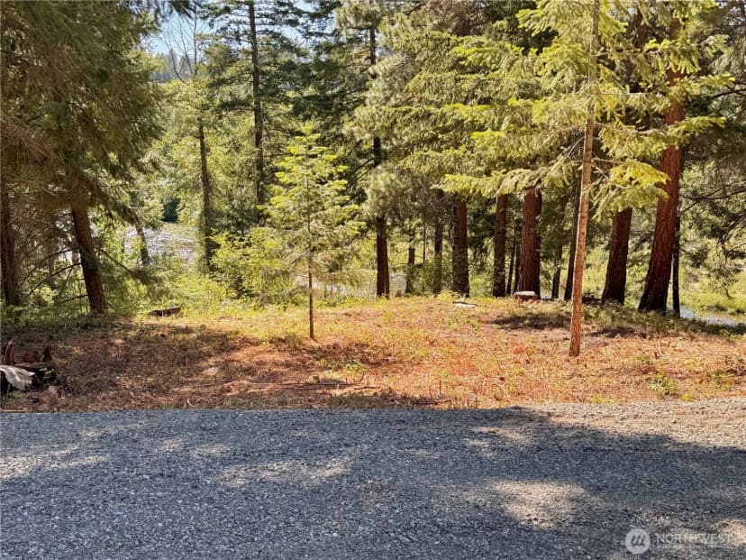 Property photo for 0 Ridgewater Drive, Cle Elum photo 6