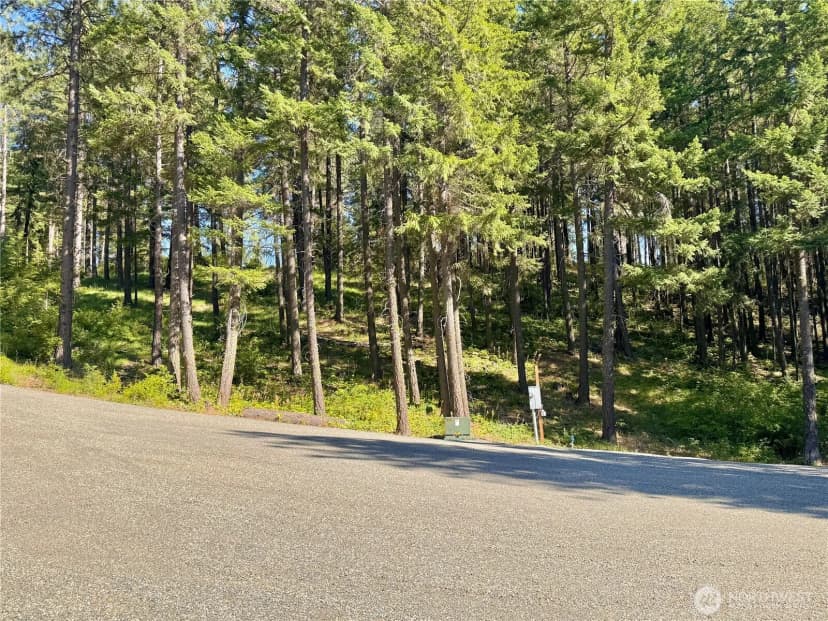Property photo for 0 Ridgewater Drive, Cle Elum photo 8