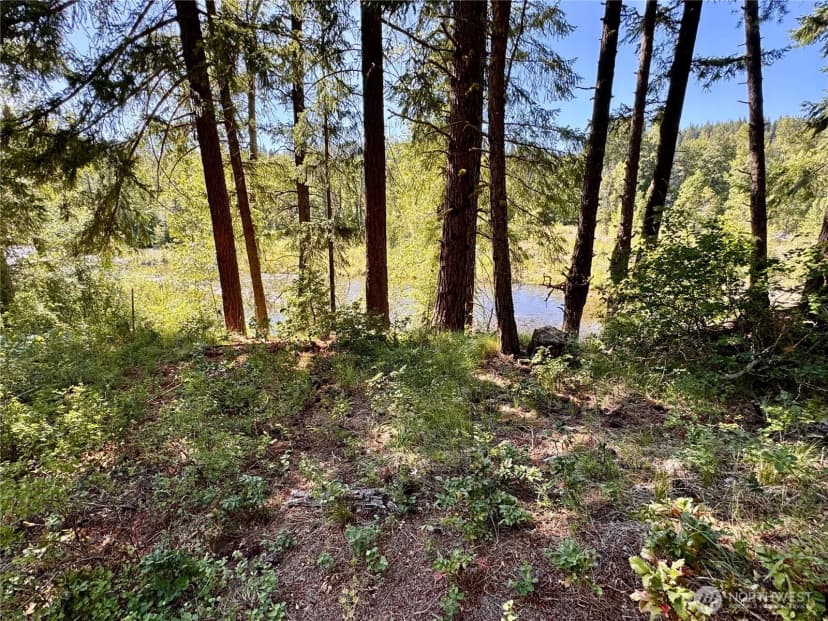 Property photo for 0 Ridgewater Drive, Cle Elum photo 22
