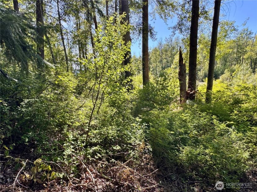 Property photo for 0 Ridgewater Drive, Cle Elum photo 25