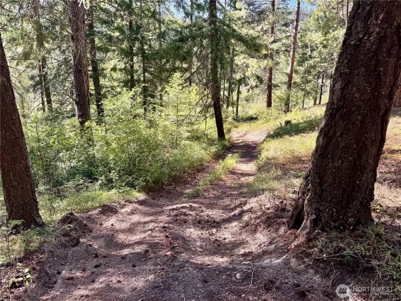 Property photo for 0 Ridgewater Drive, Cle Elum photo 11
