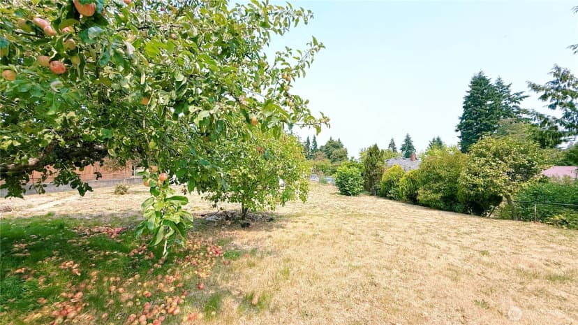 Property photo for 131 S 106th, Seattle photo 16