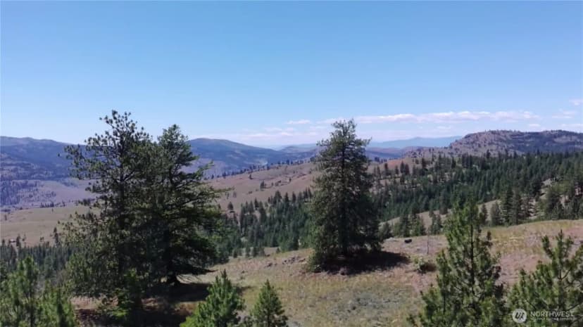Property photo for 132 W Cayuse Mtn Road, Tonasket photo 19