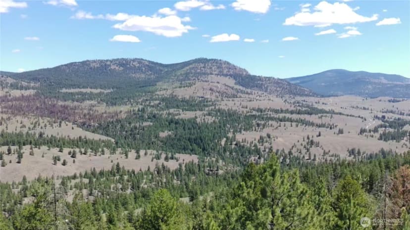 Property photo for 132 W Cayuse Mtn Road, Tonasket photo 17