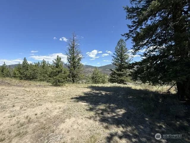 Property photo for 132 W Cayuse Mtn Road, Tonasket photo 24