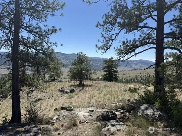 Property photo for 132 W Cayuse Mtn Road, Tonasket photo 28