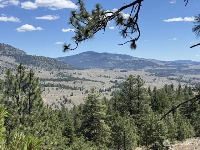 Property photo for 132 W Cayuse Mtn Road, Tonasket photo 29