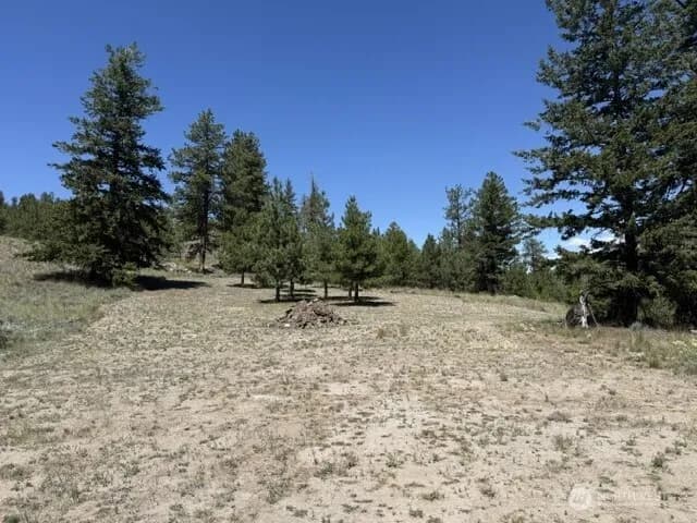 Property photo for 132 W Cayuse Mtn Road, Tonasket photo 23