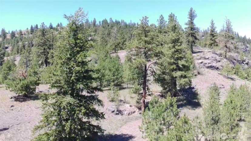 Property photo for 132 W Cayuse Mtn Road, Tonasket photo 18