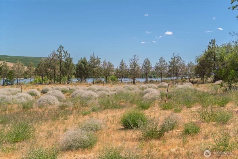 Property photo for 307 Monse River Road, Brewster photo 18