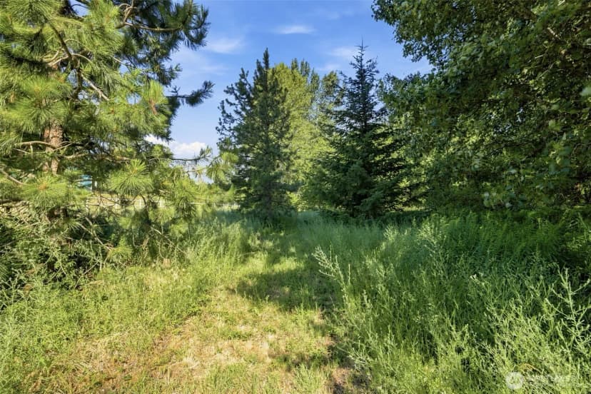 Property photo for 365 Black Bear Drive, Cle Elum photo 13