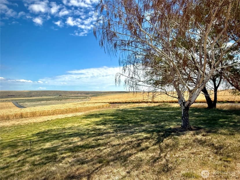 Property photo for 7603 Coyote Heights Road N, Odessa photo 24